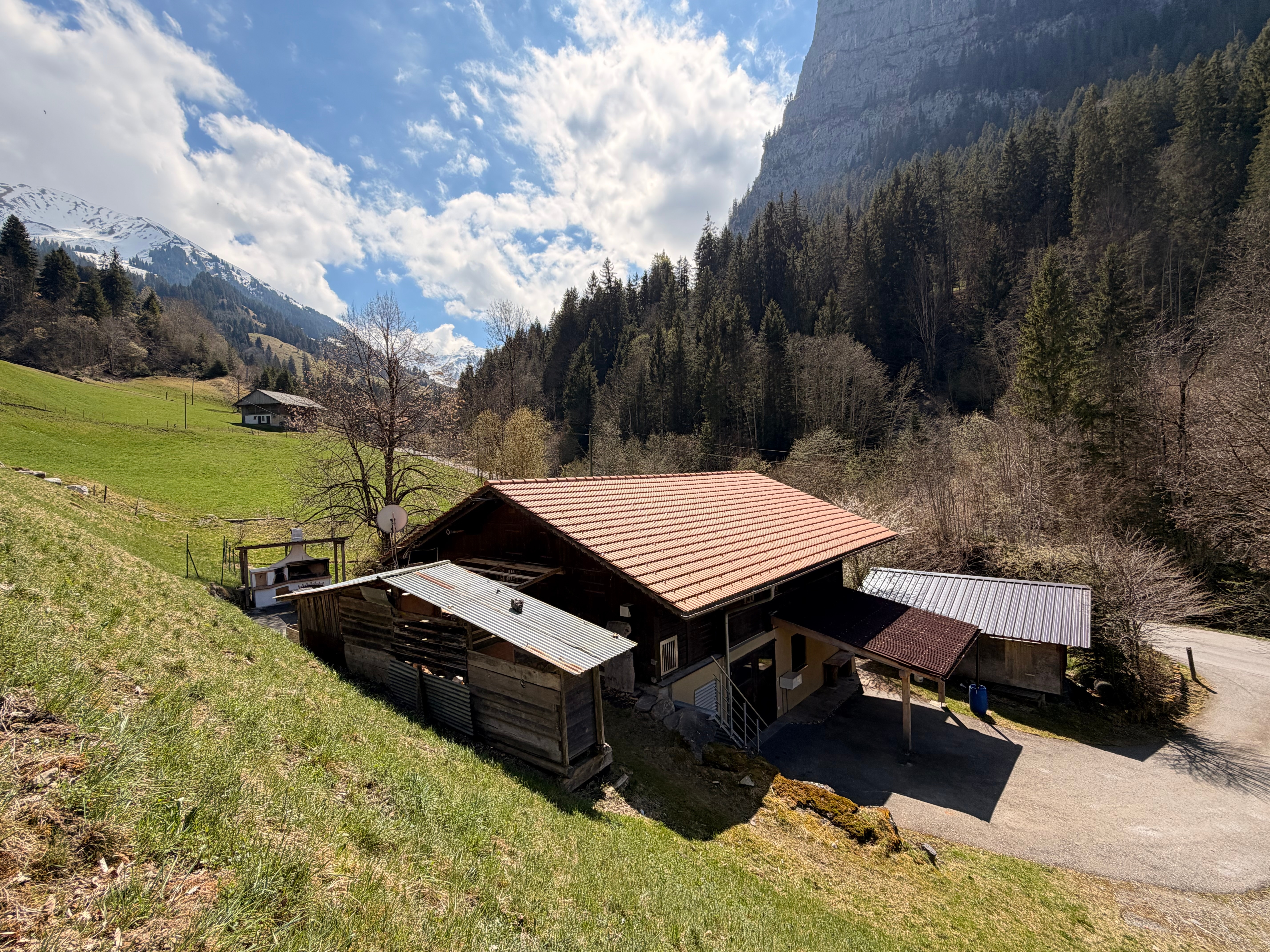 Objekt - Alpenidylle erleben - Charmantes Chalet in den Bergen mit zwei Wohnungen zu verkaufen - Ruchti Partner AG Immobilien-Dienstleistungen